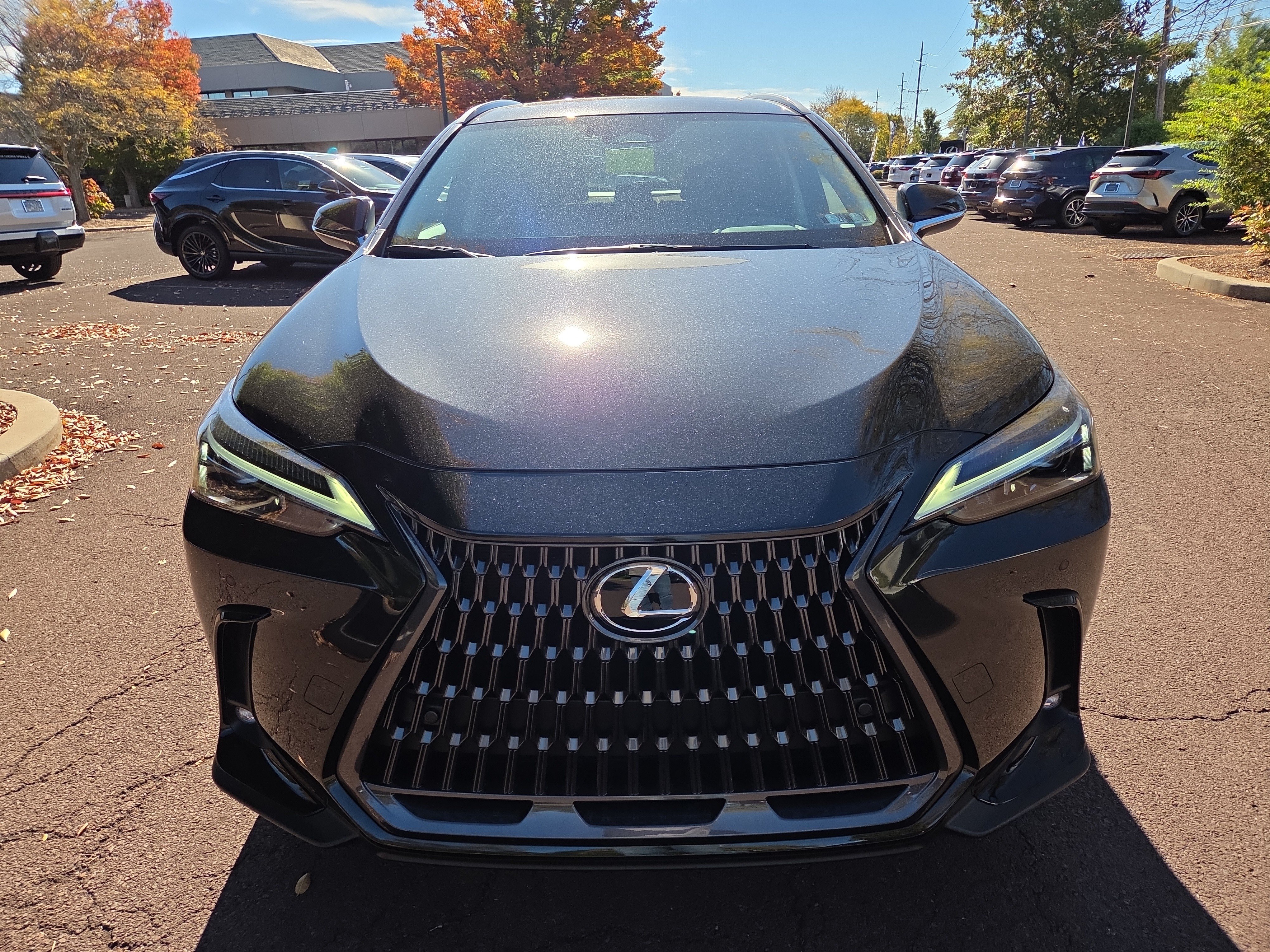 New 2026 Lexus NX 350 AWD w/ Accessory Package (2T) image 6