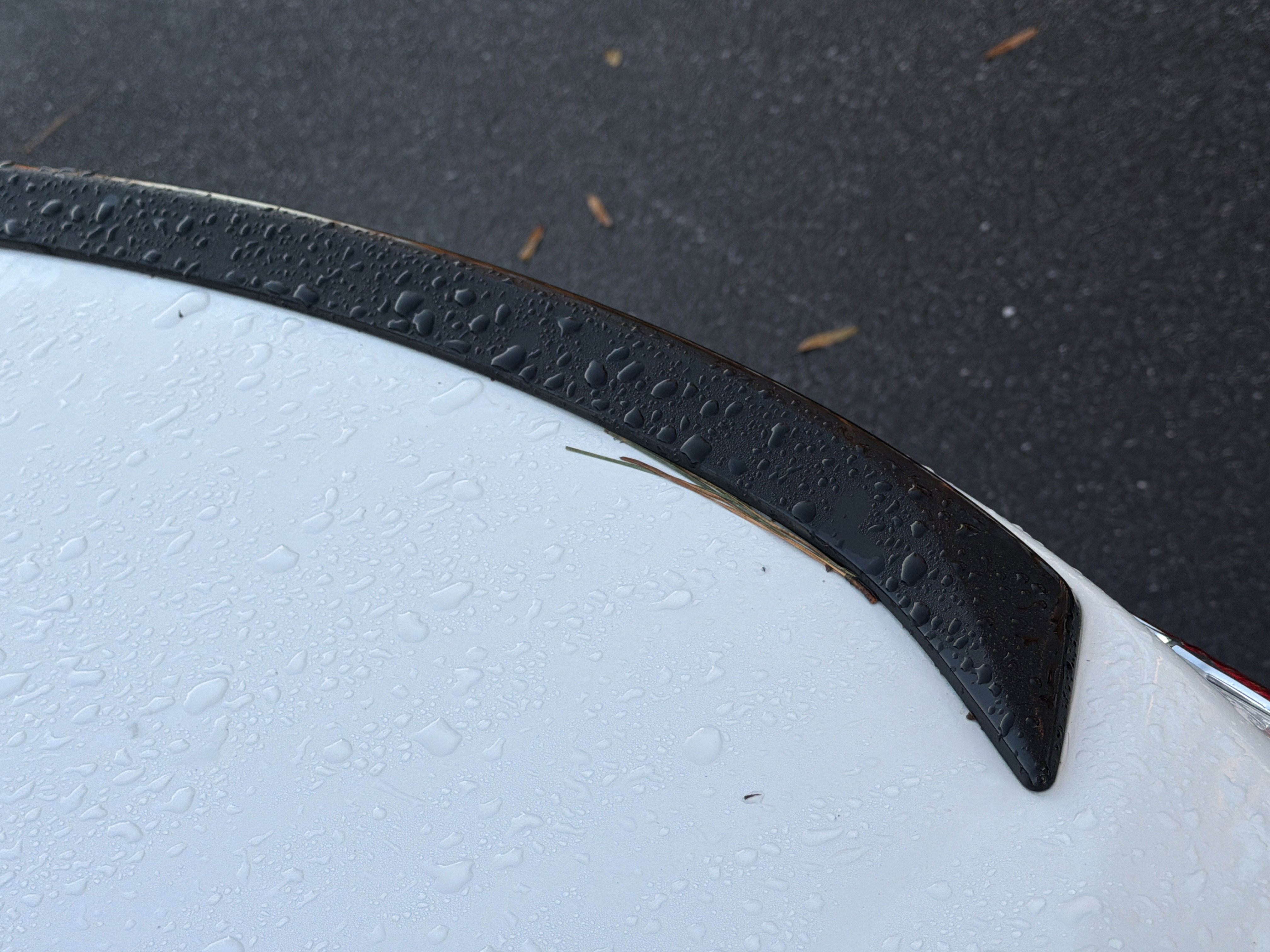 Used 2022 Honda Accord Sport Special Edition image 9