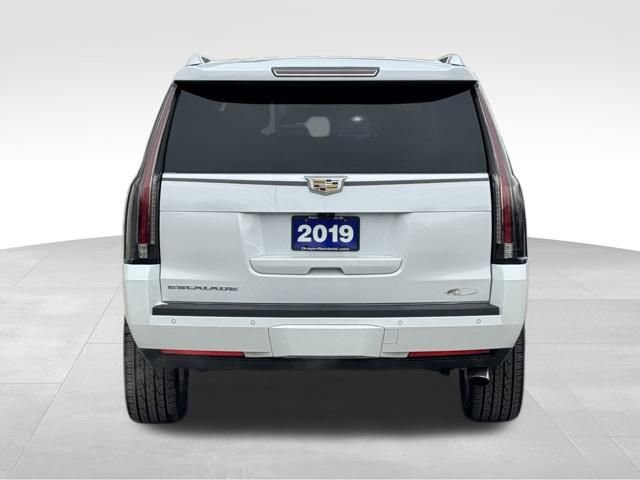Used 2019 Cadillac Escalade Luxury image 6