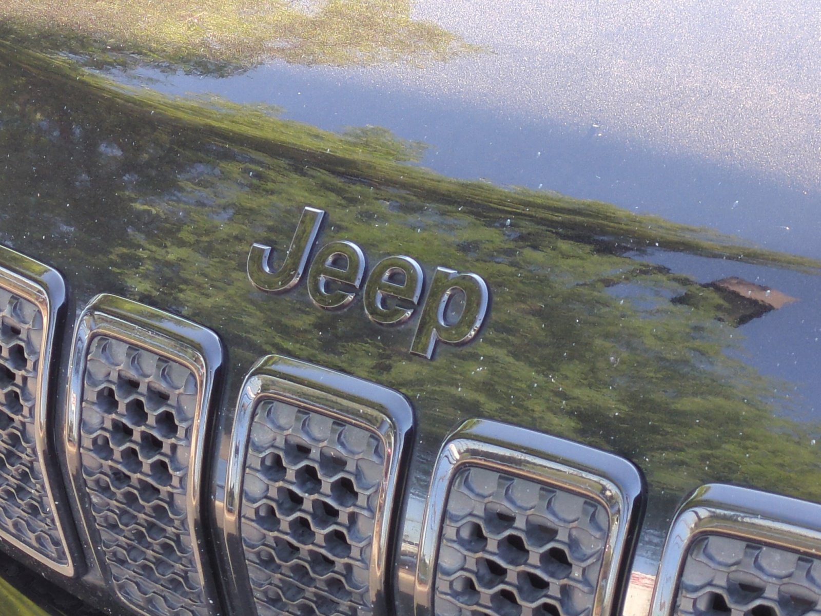 Used 2021 Jeep Cherokee Latitude Plus image 23