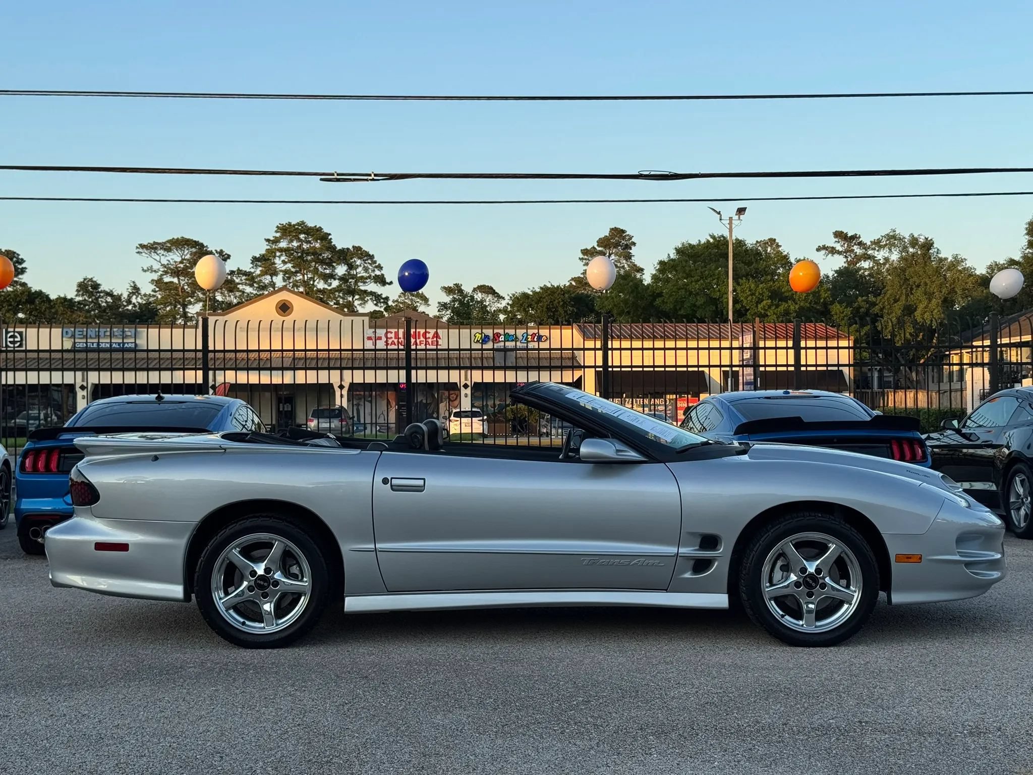 Used 2000 Pontiac Firebird Trans Am RWD image 11