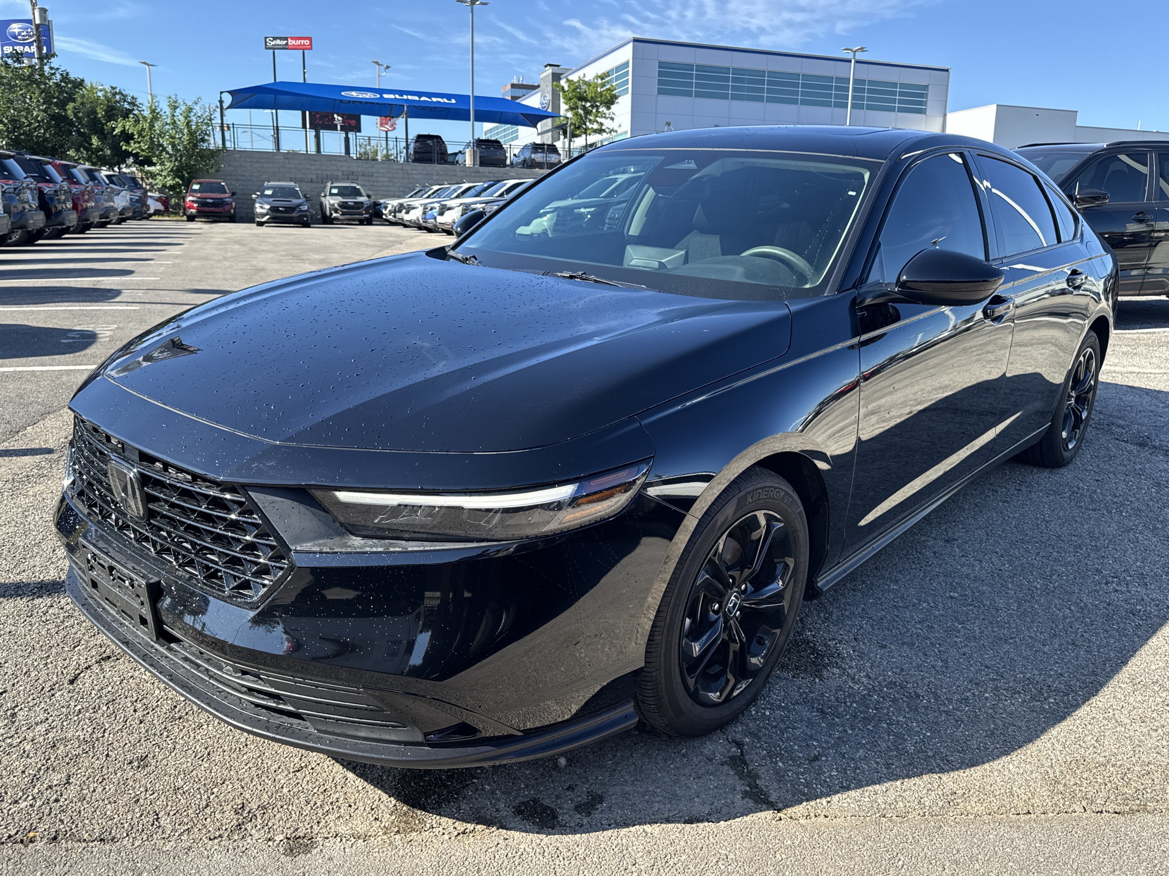 Used 2025 Honda Accord SE image 7