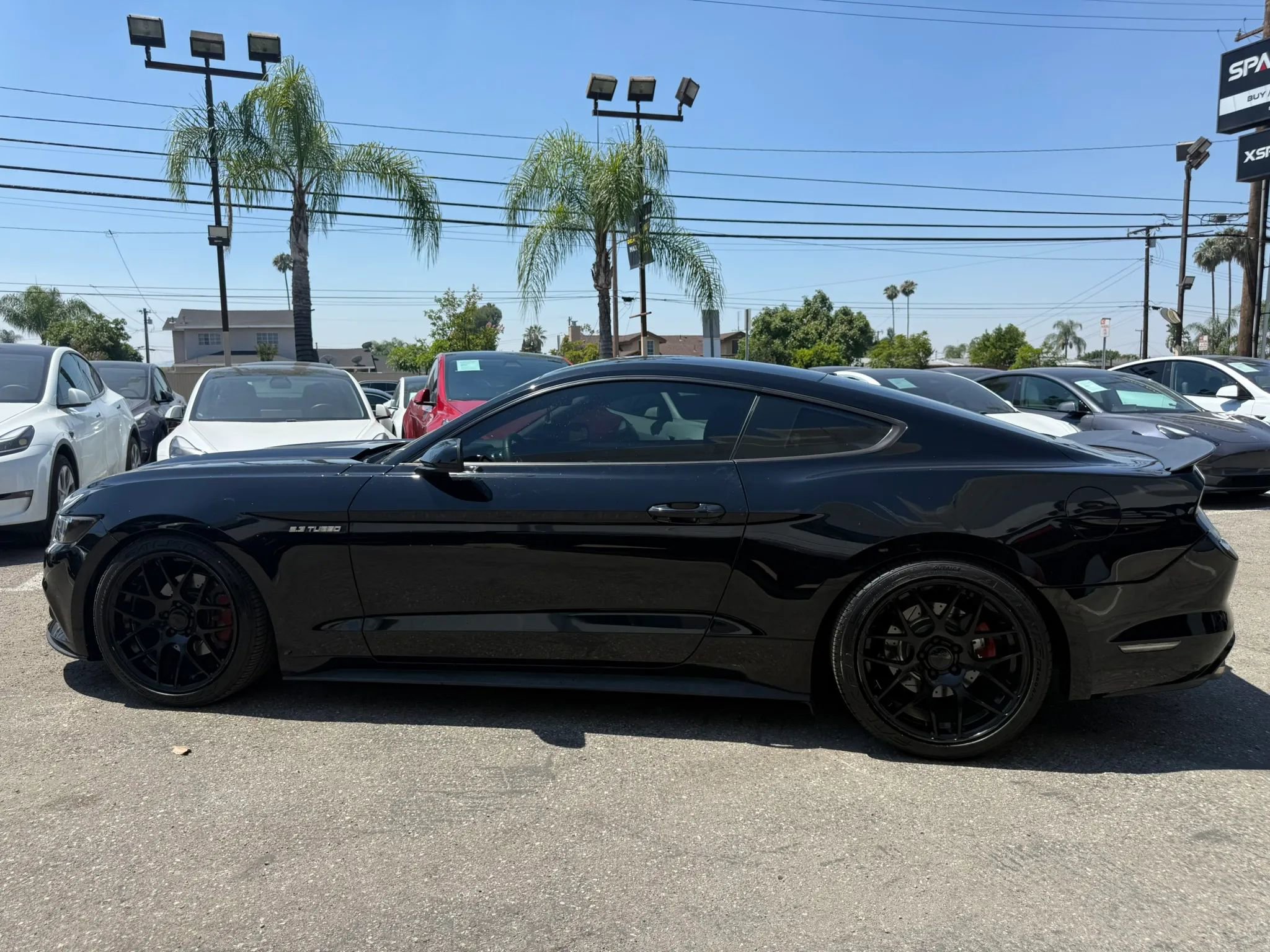 Used 2016 Ford Mustang Coupe w/ Wheel & Stripe Package RWD image 4