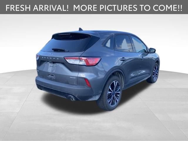 Used 2022 Ford Escape SE w/ SE Sport Appearance Package AWD/4WD image 5