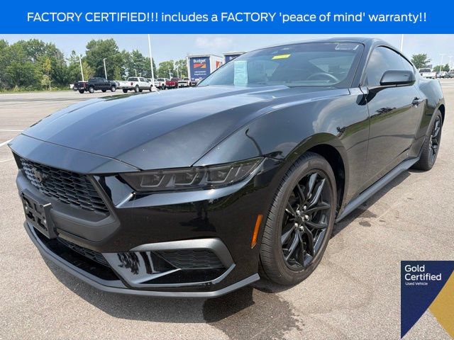 Used 2024 Ford Mustang Coupe w/ Mustang Nite Pony Package RWD image 2