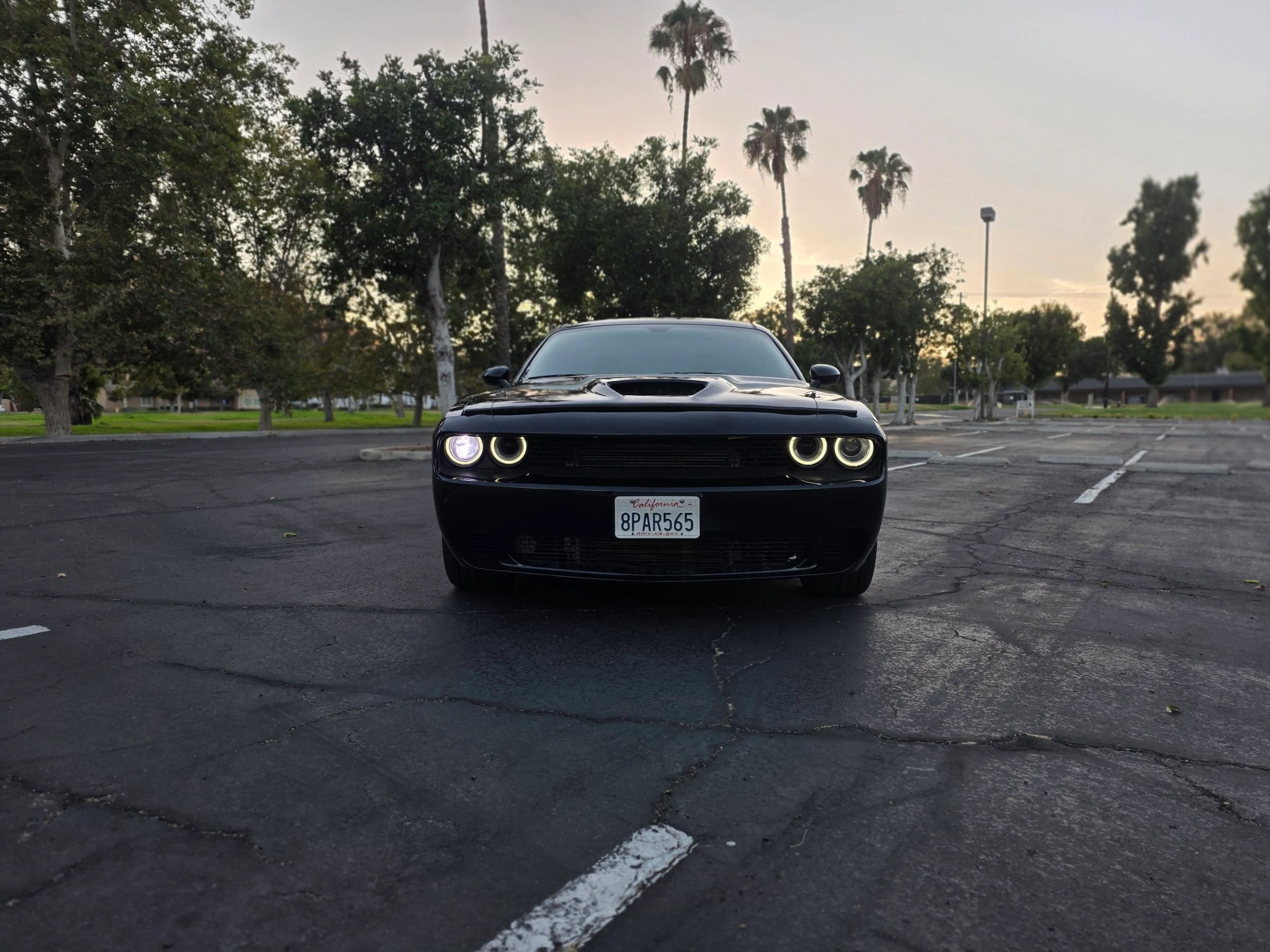 Used 2012 Dodge Challenger R/T Plus RWD image 2