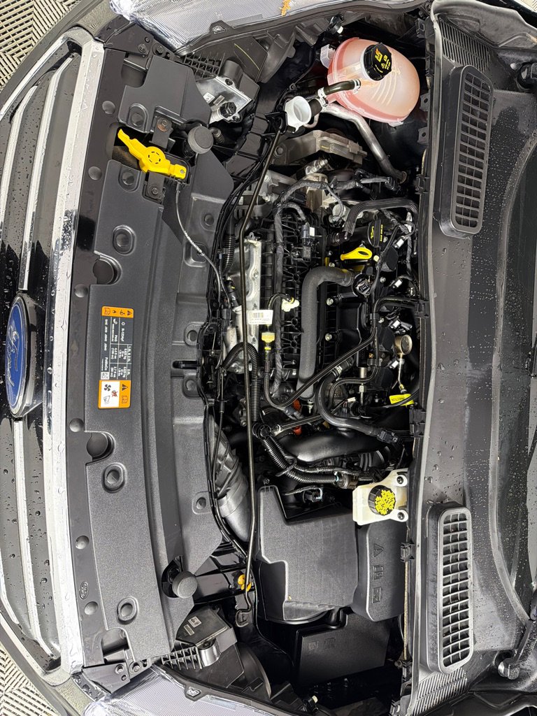 Used 2019 Ford Escape SE AWD/4WD image 27