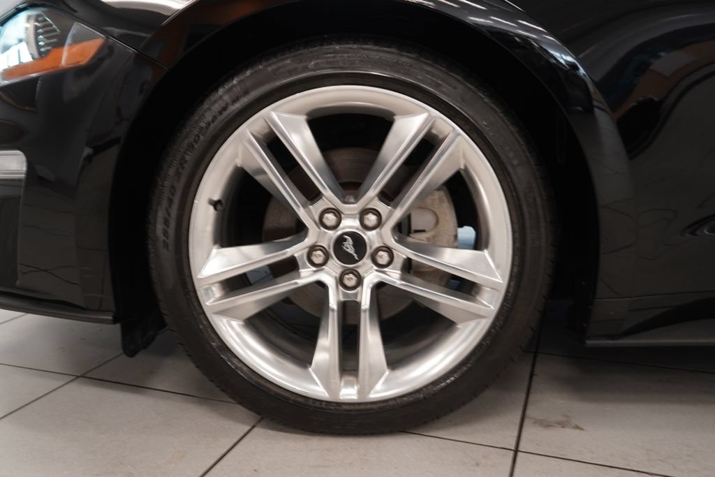 Used 2019 Ford Mustang Premium w/ Equipment Group 201A RWD image 15