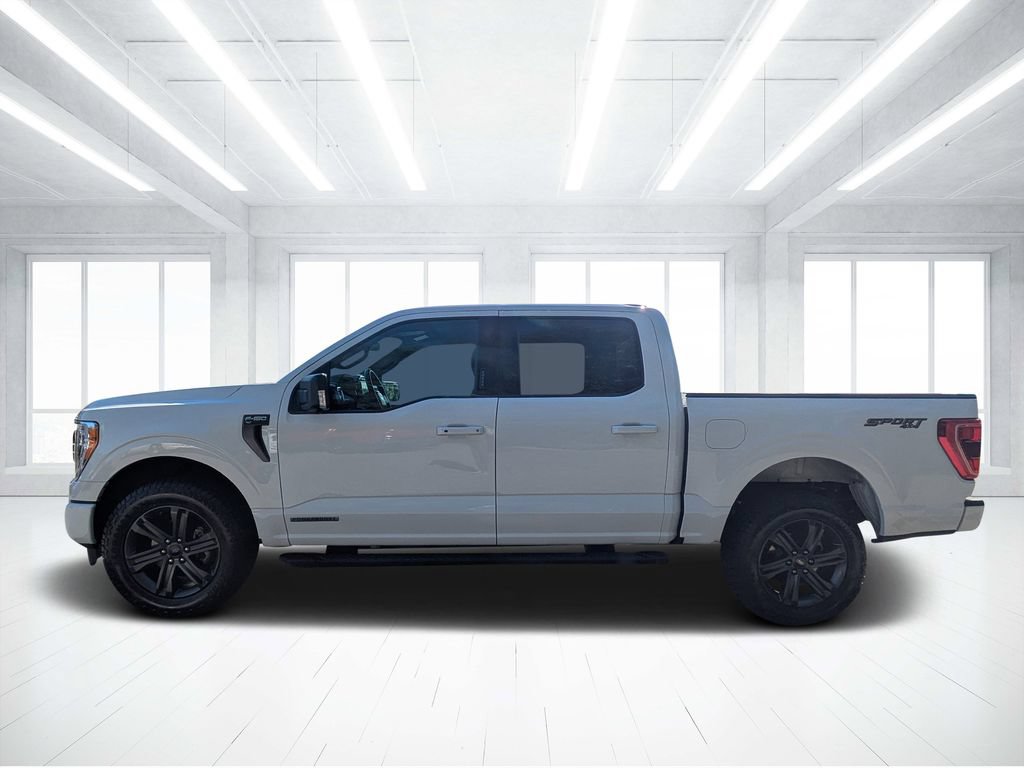 Used 2023 Ford F150 XLT w/ Equipment Group 302A High AWD/4WD image 6