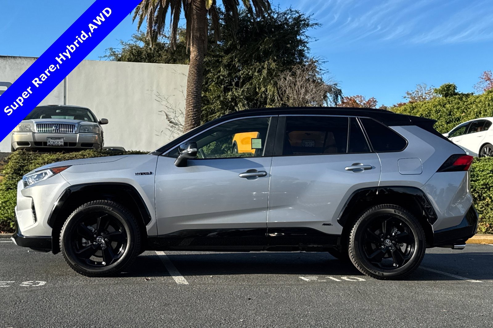 Used 2019 Toyota RAV4 XSE w/ XSE Weather Package image 7