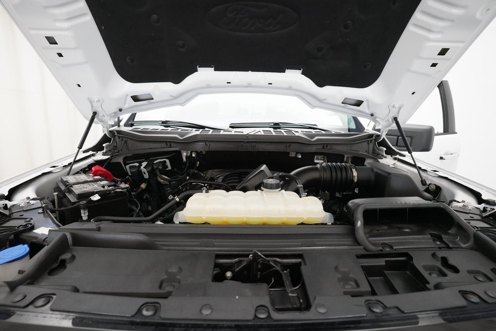 Used 2025 Ford F150 XLT w/ Equipment Group 301A Standard image 3