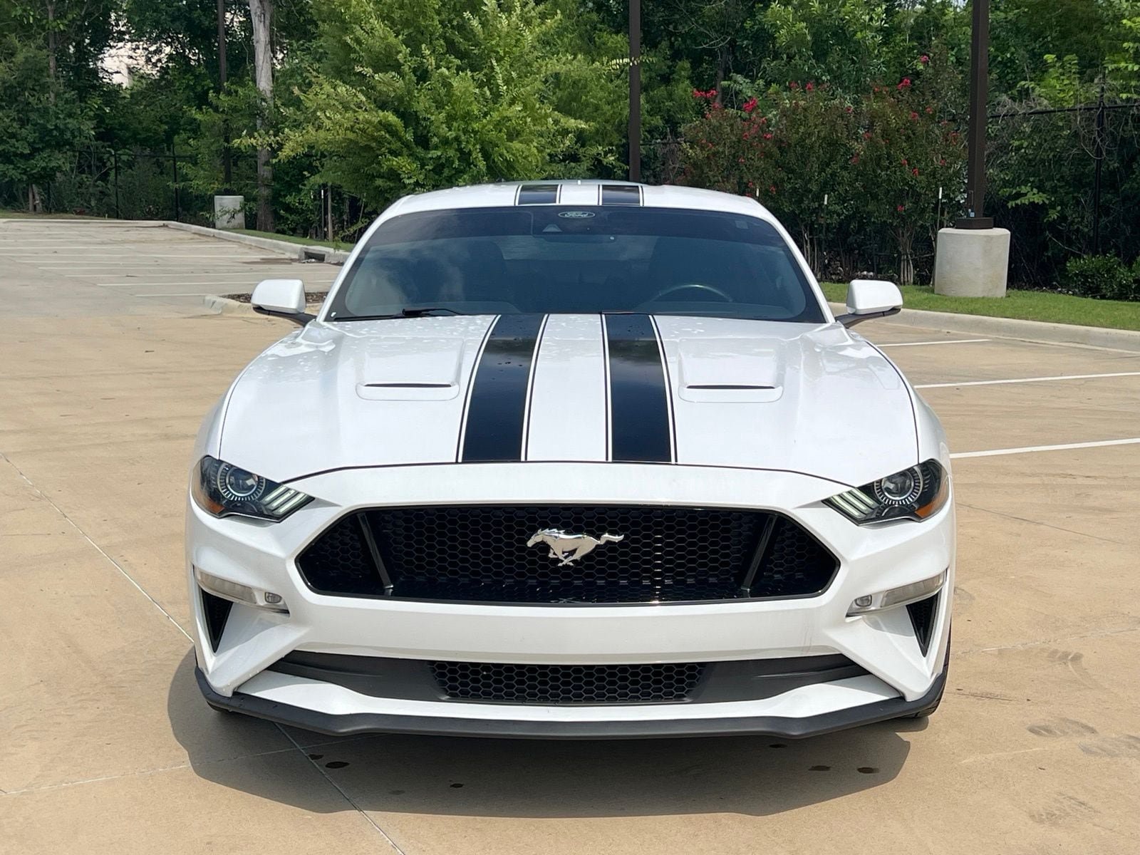 Used 2022 Ford Mustang GT Premium w/ Equipment Group 401A RWD image 2