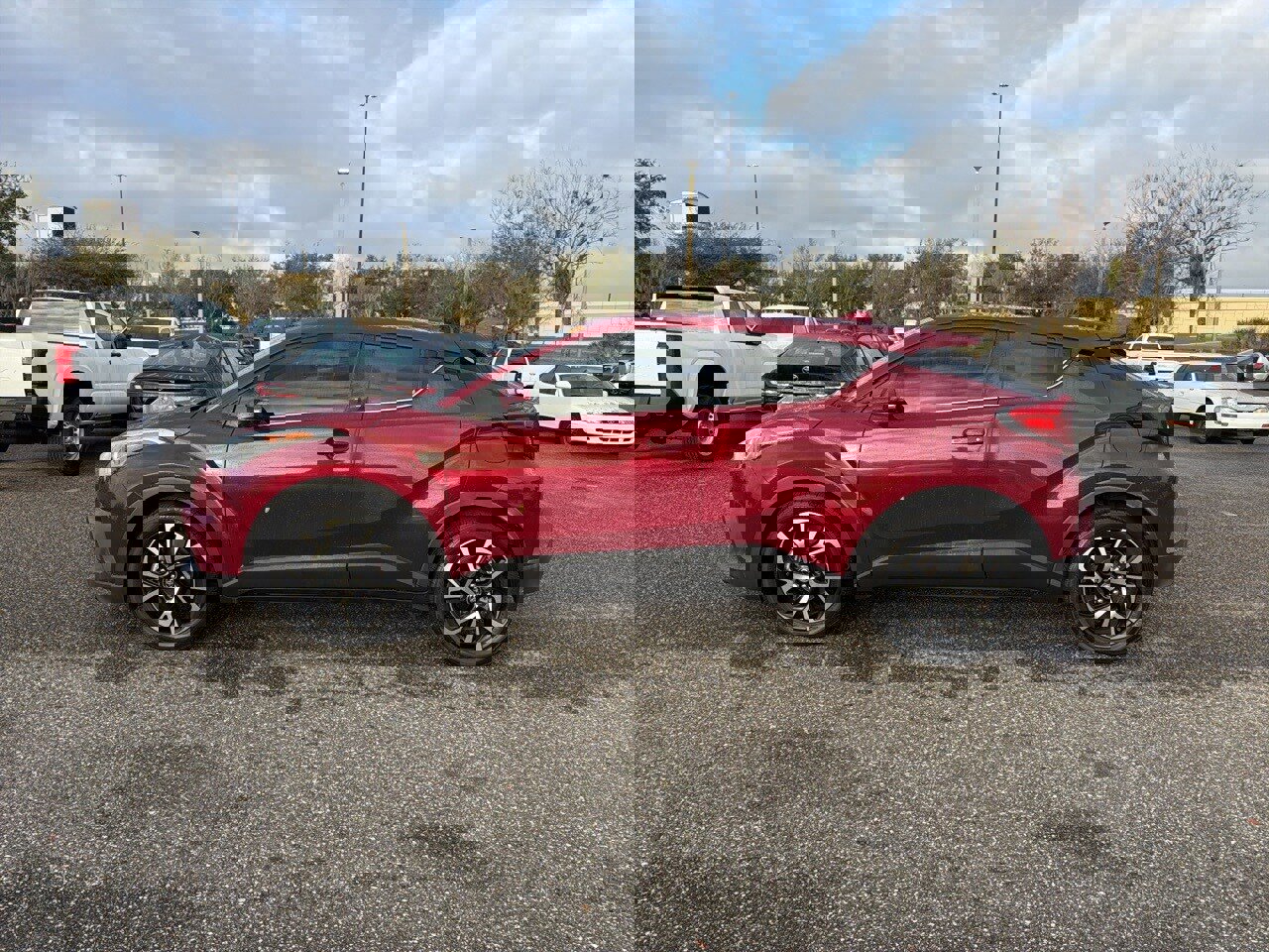 Used 2019 Toyota C-HR Limited image 2