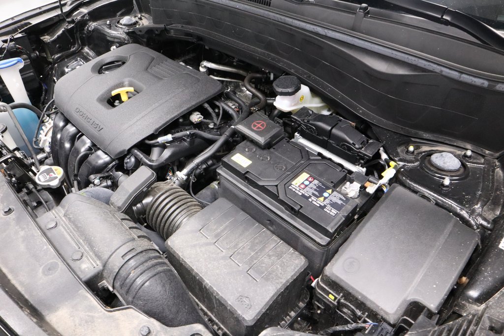 Used 2025 Kia Seltos LX image 12