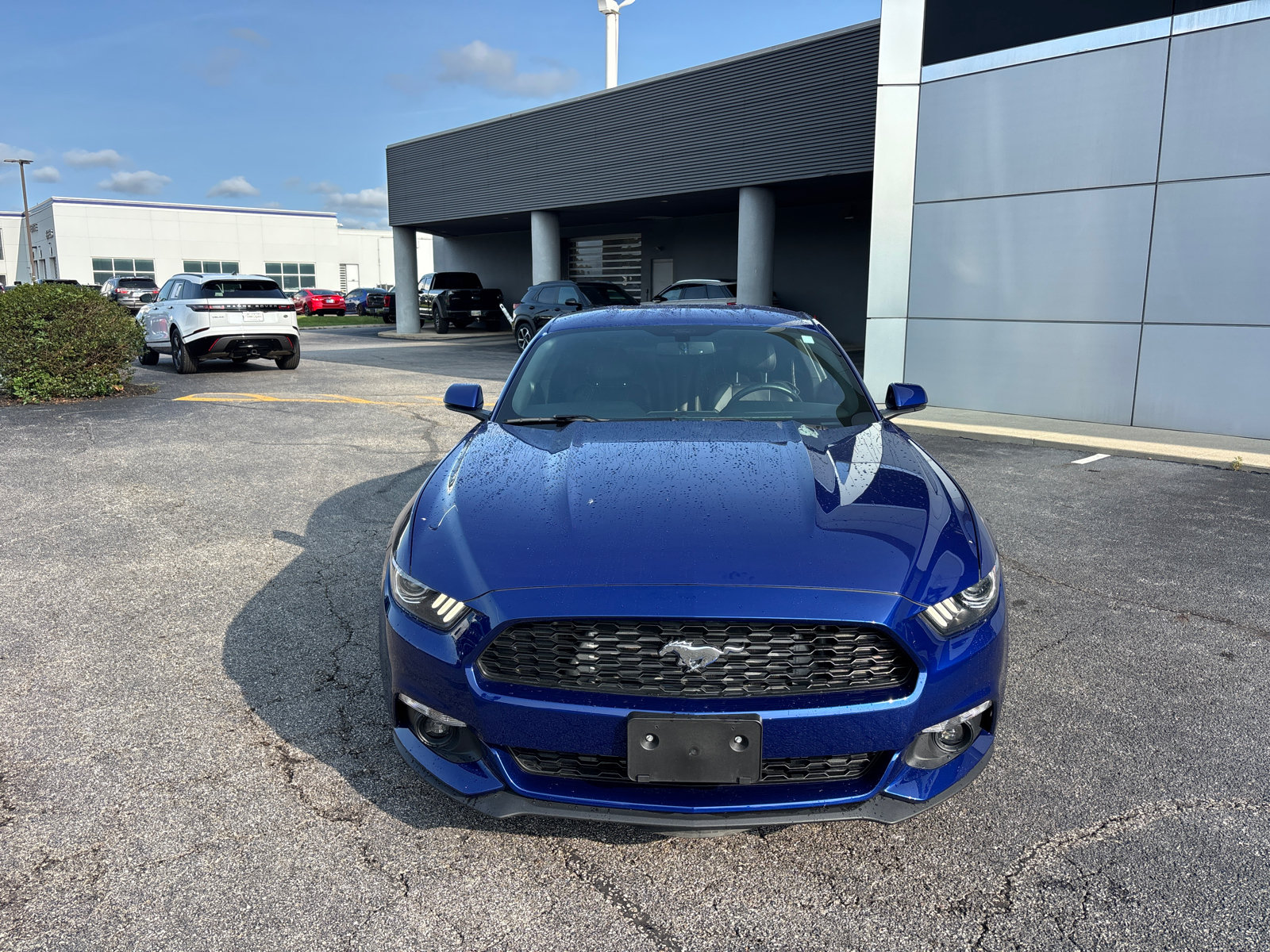 Used 2016 Ford Mustang Premium w/ Wheel & Stripe Package RWD image 2