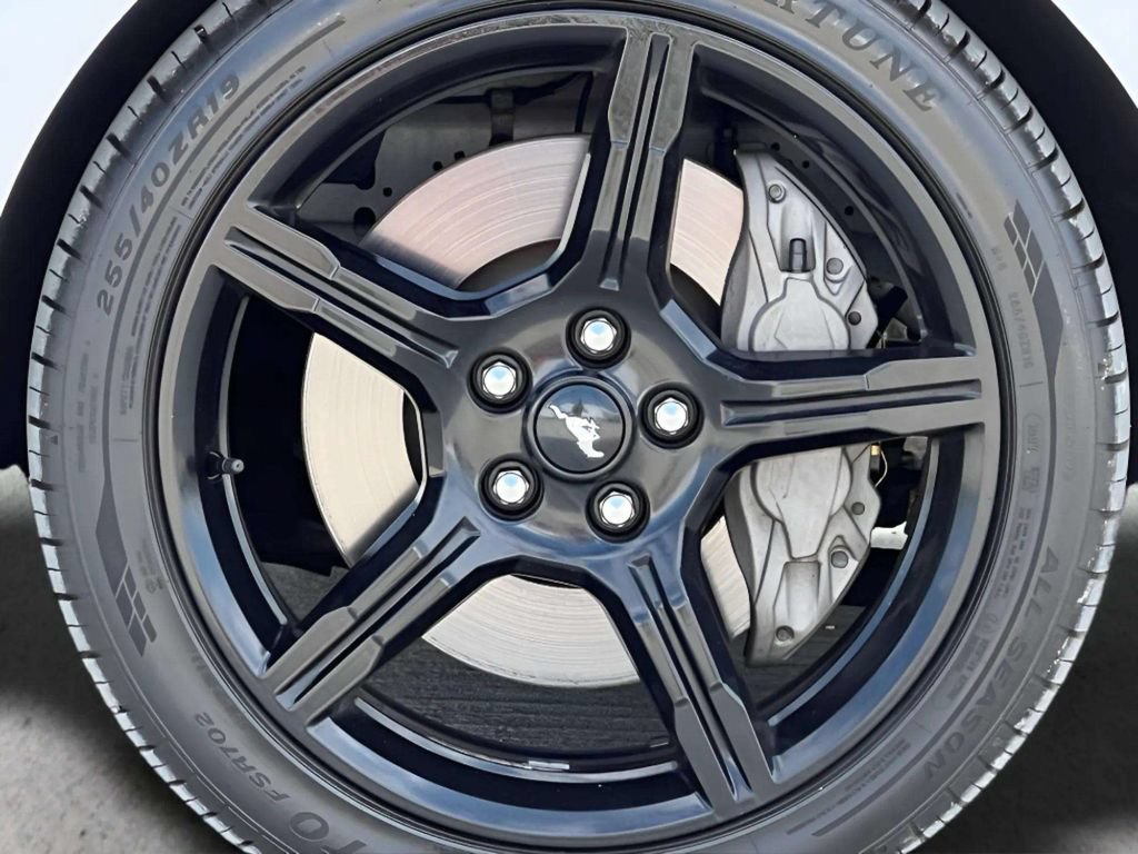 Used 2019 Ford Mustang GT Premium w/ Equipment Group 401A RWD image 36