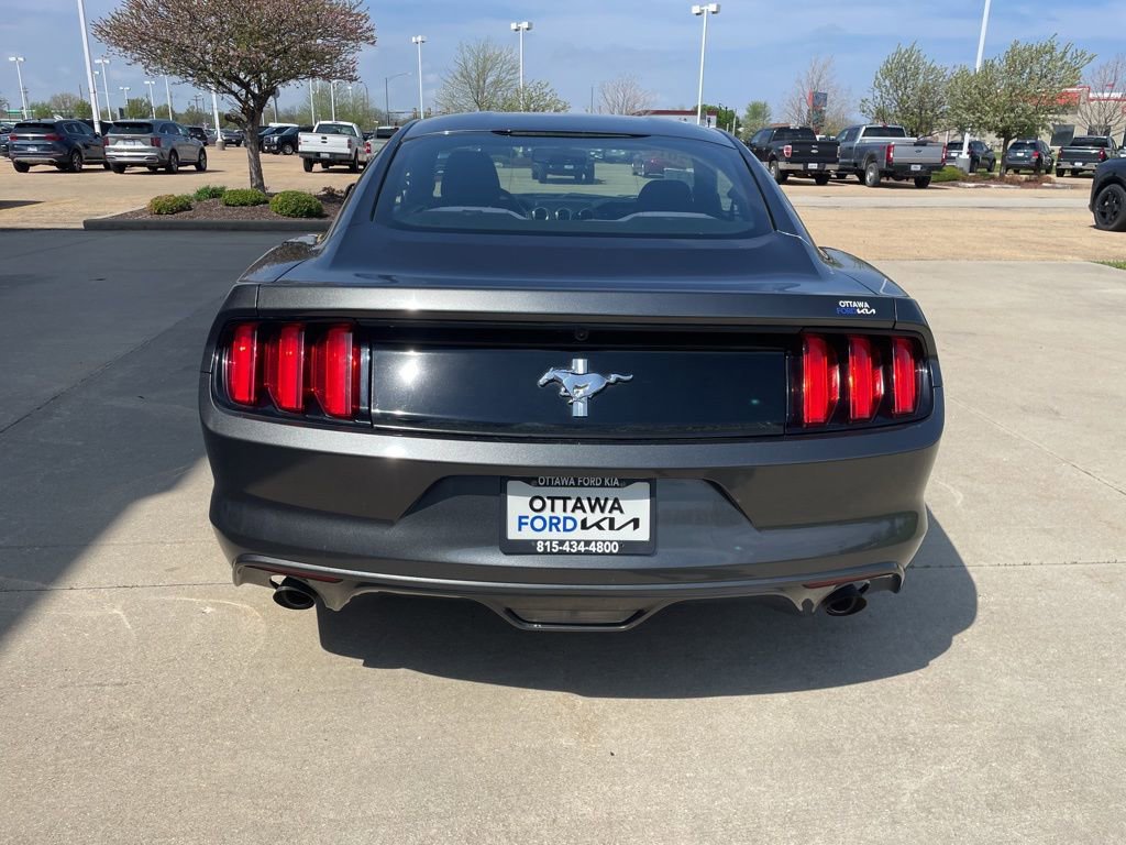 Used 2015 Ford Mustang Coupe w/ Enhanced Security Package RWD image 6