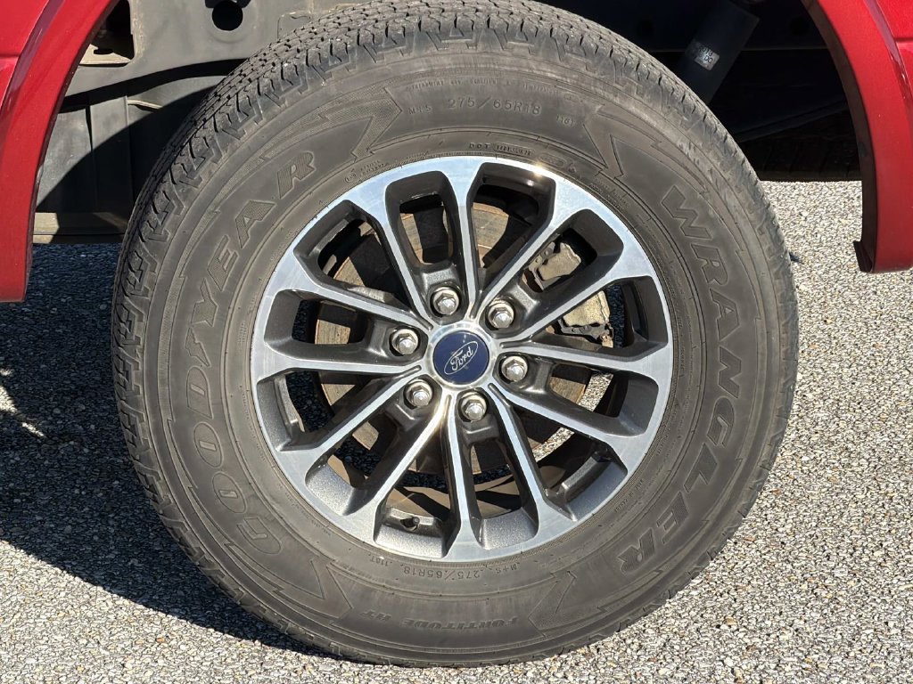 Used 2019 Ford F150 XLT w/ Equipment Group 302A Luxury AWD/4WD image 10