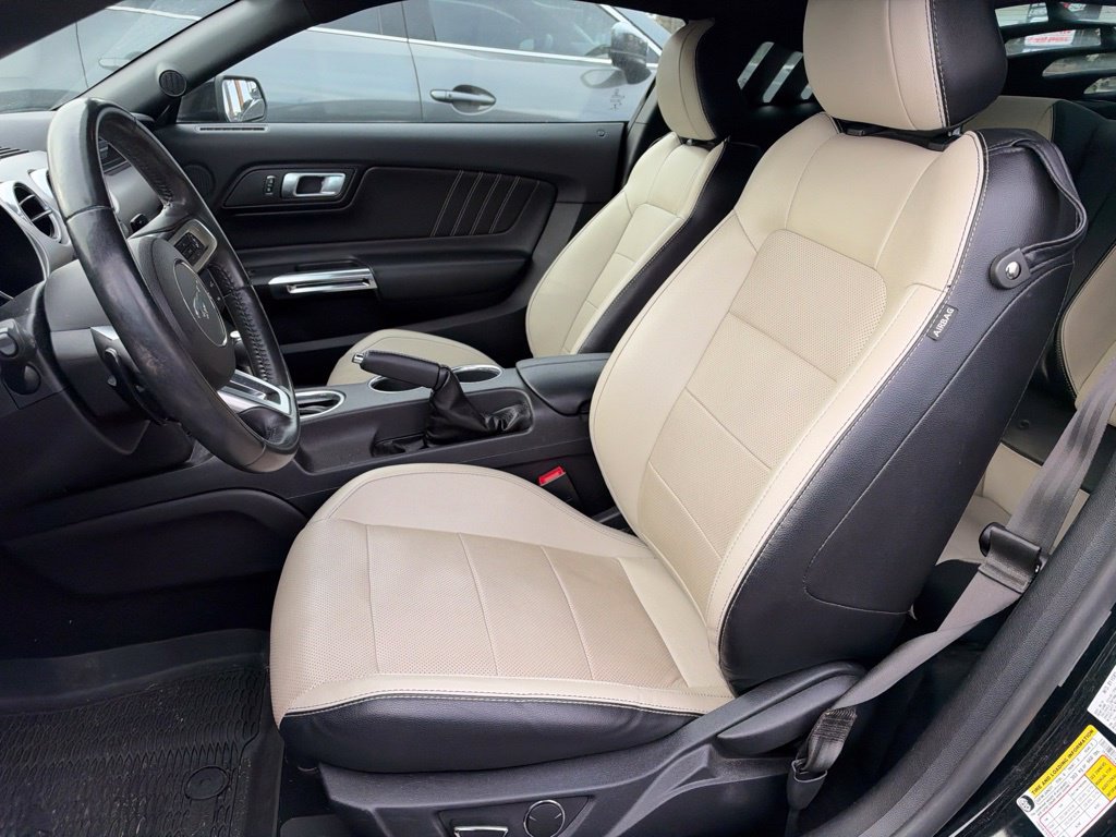 Used 2019 Ford Mustang Premium w/ Ford Safe & Smart Package RWD image 17