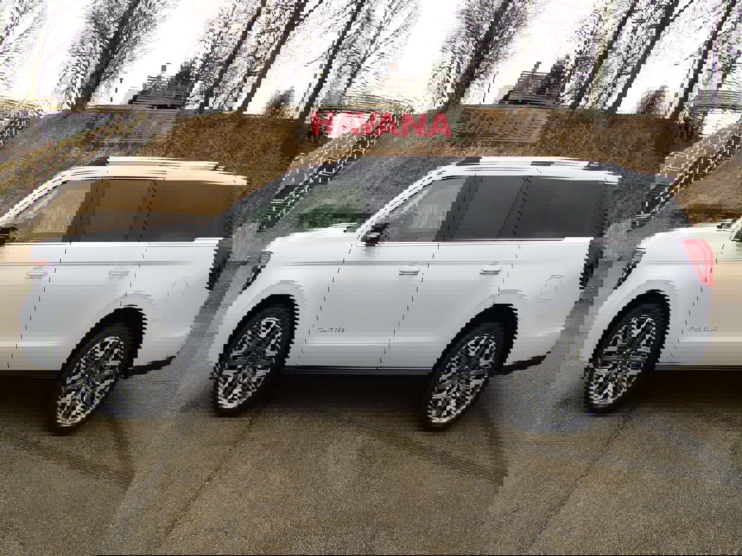 Used 2025 Ford Expedition Platinum w/ Platinum Ultimate Package image 1