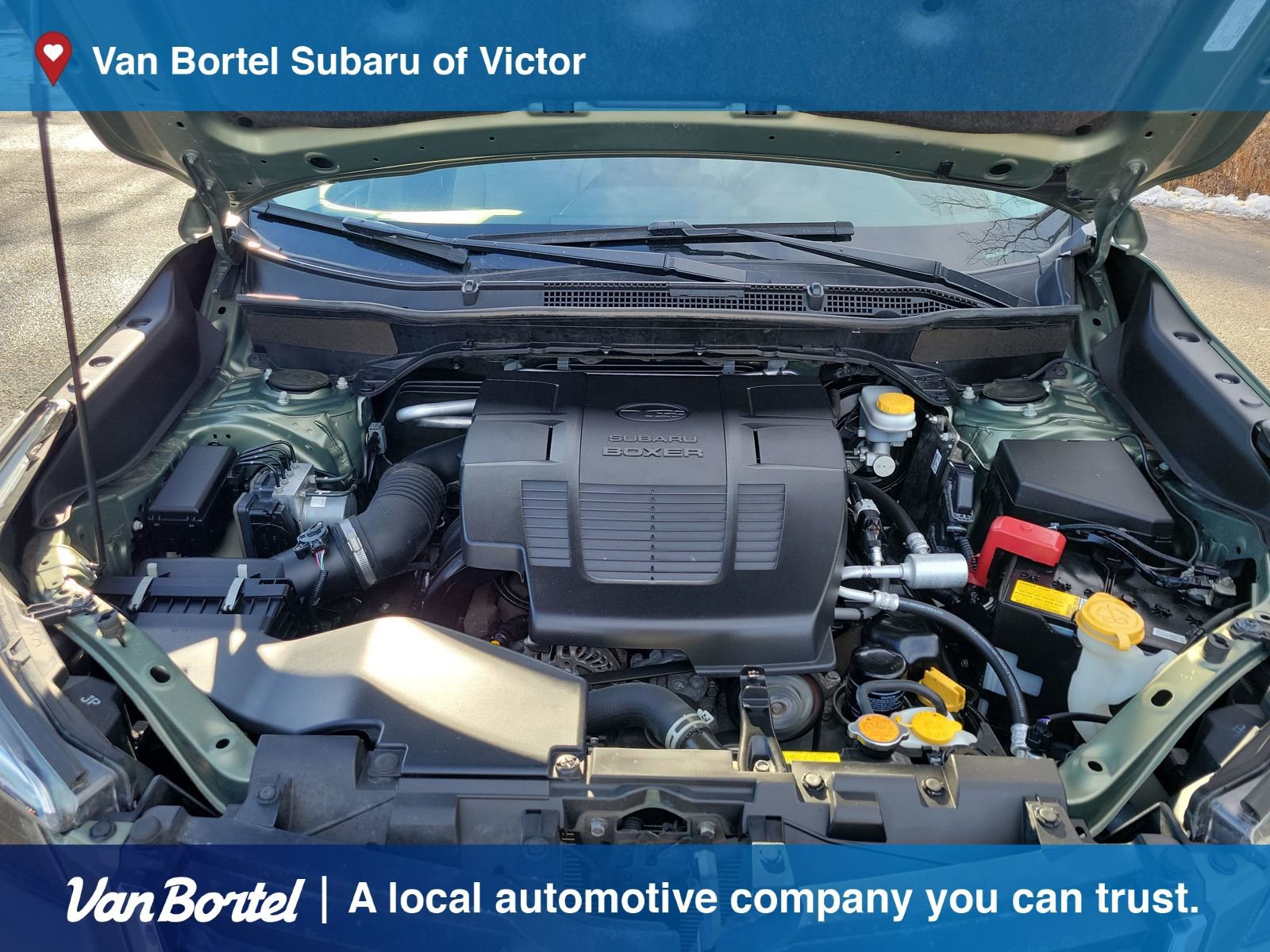 Used 2021 Subaru Forester Limited image 11