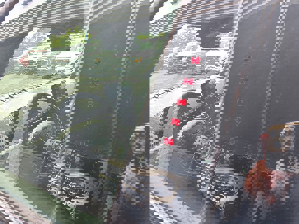 New 2025 Ford Mustang Mach-E GT w/ Interior Protection Package image 16