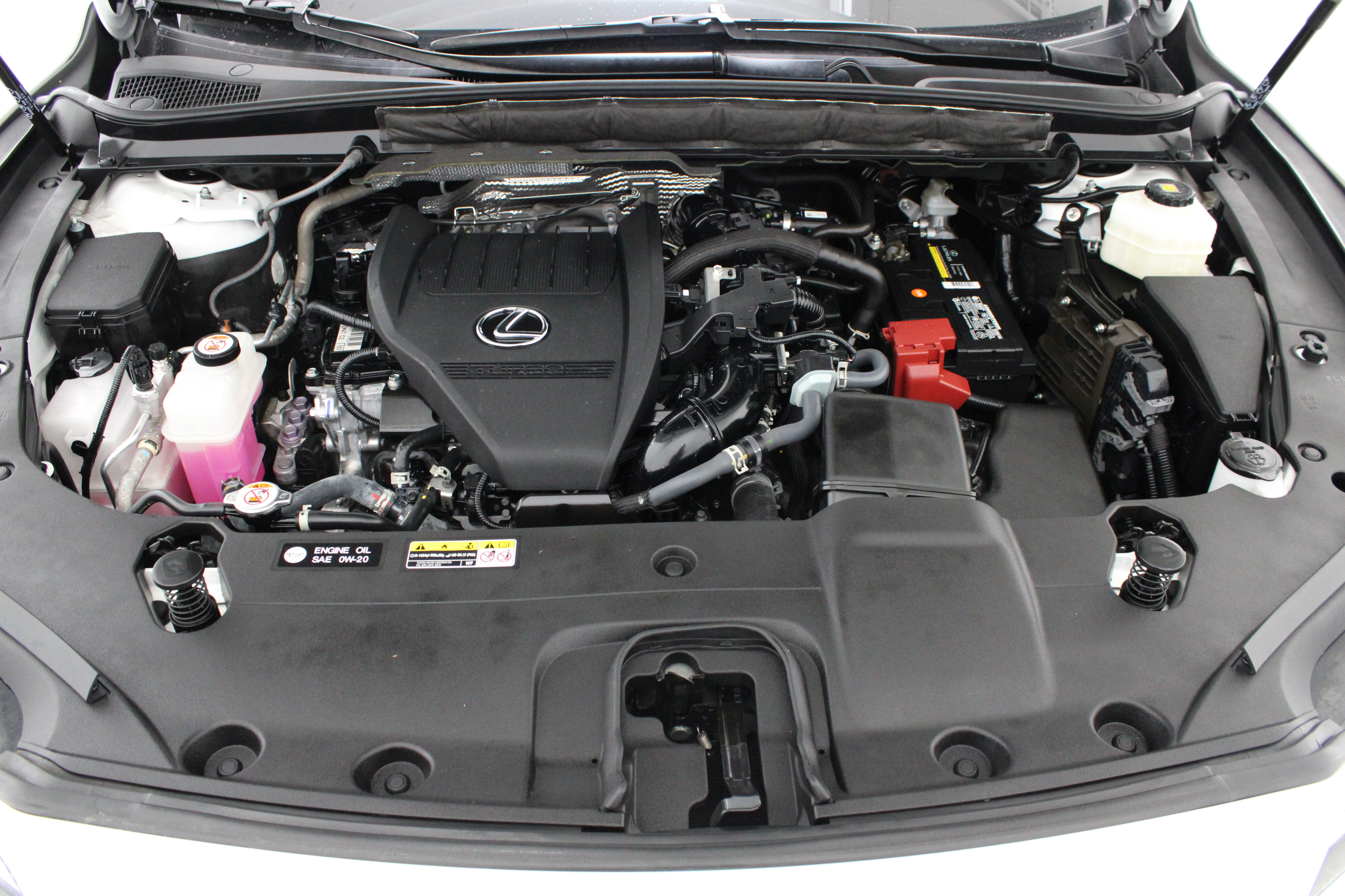 Used 2024 Lexus RX 350 Premium Plus w/ Convenience Package FWD image 38