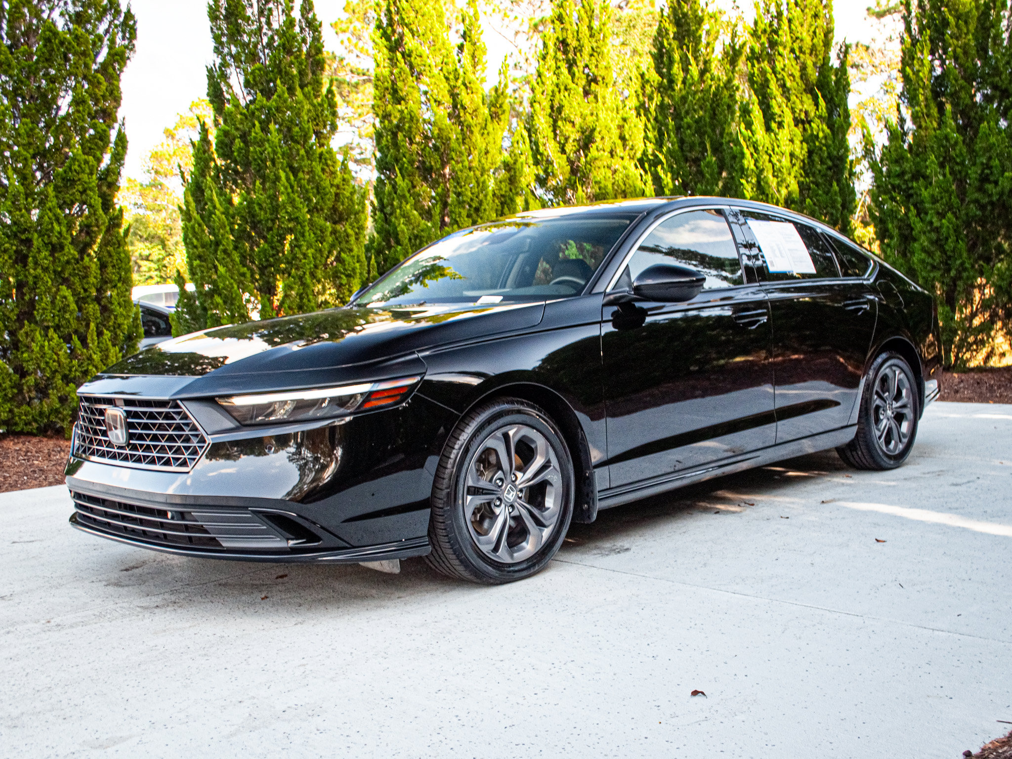 Used 2025 Honda Accord EX-L image 7