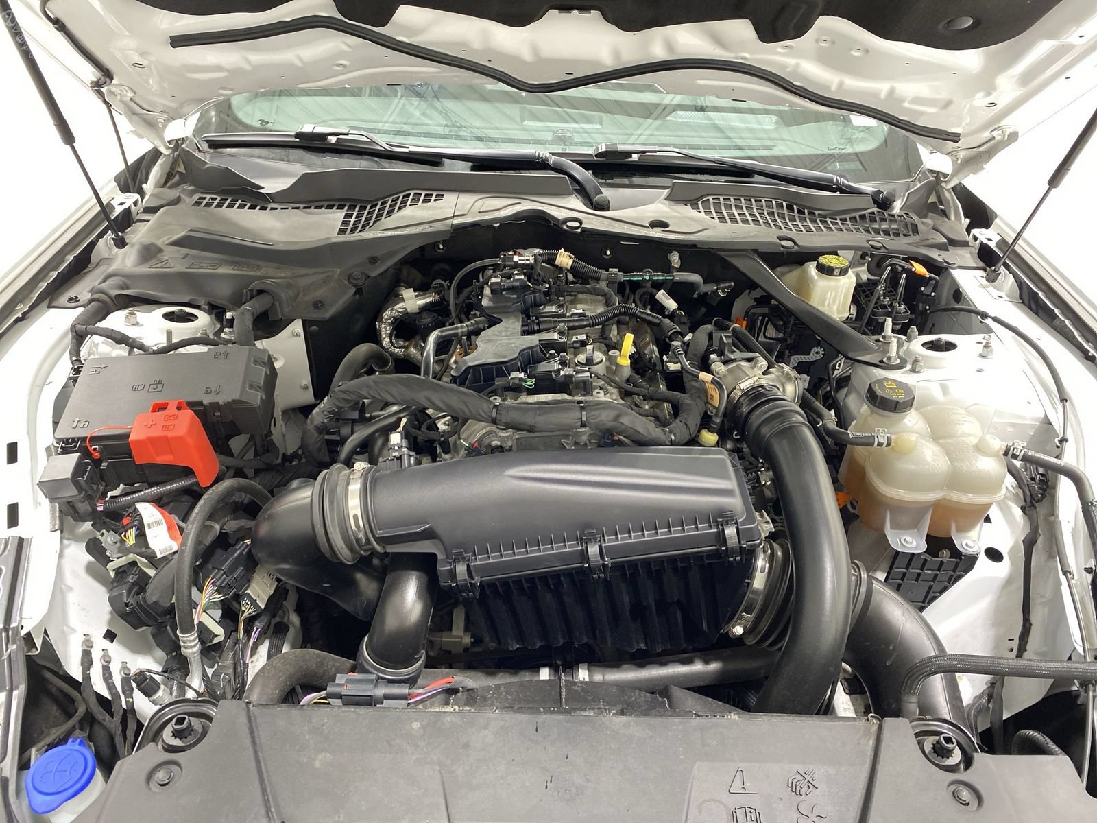Used 2024 Ford Mustang Premium RWD image 24