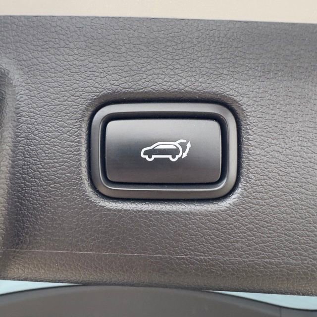 Used 2021 Kia Telluride SX w/ SX Prestige Package image 15