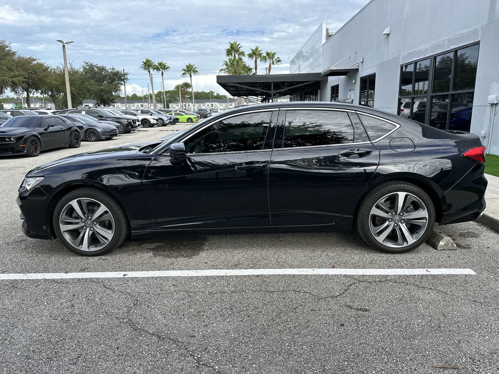 Used 2023 Acura TLX w/ Advance Package AWD/4WD image 5