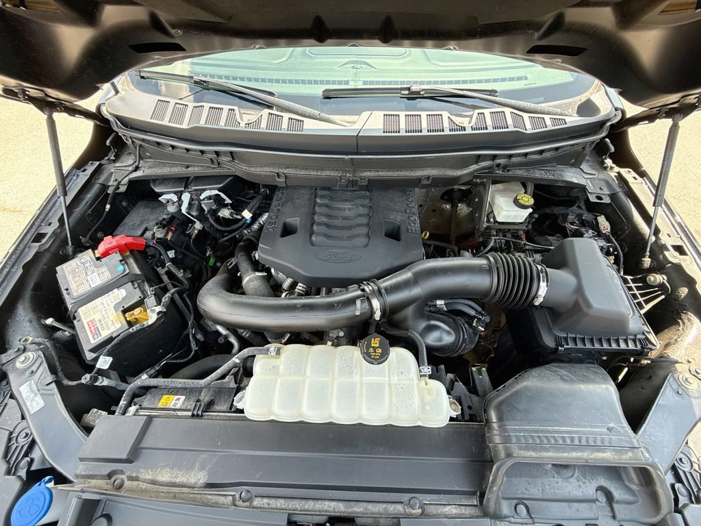 Used 2023 Ford F150 Tremor AWD/4WD image 33