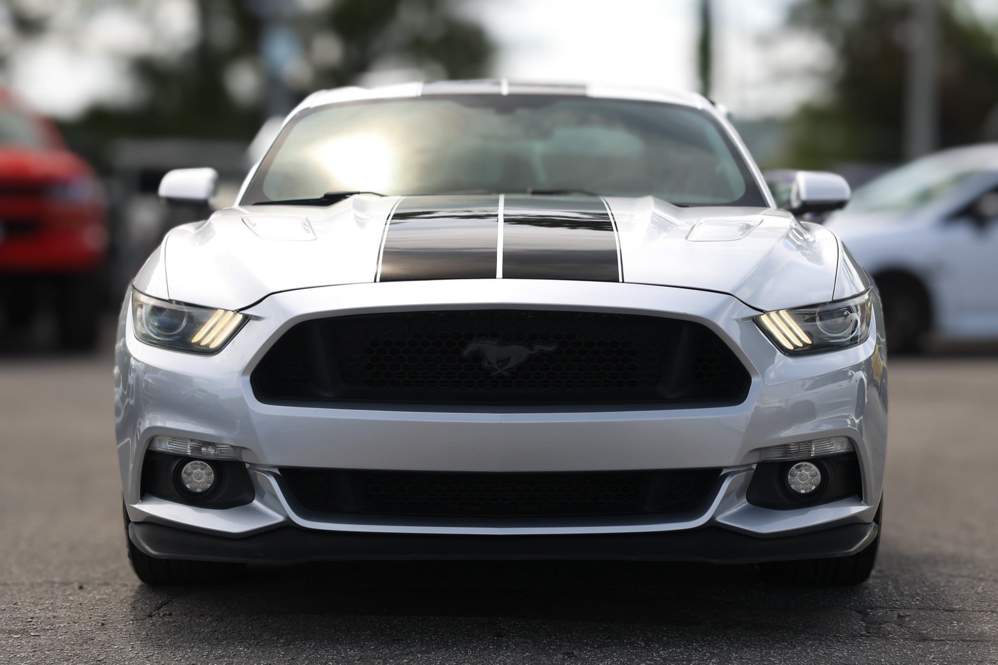Used 2016 Ford Mustang GT Premium w/ GT Performance Package RWD image 21