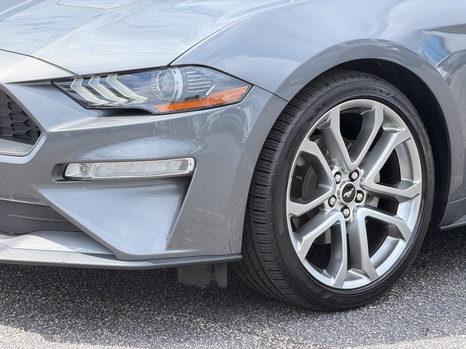 Used 2021 Ford Mustang Premium w/ Equipment Group 201A RWD image 8