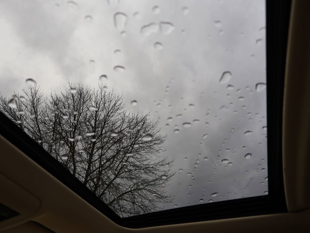 Used 2019 Lexus LX 570 570 image 16