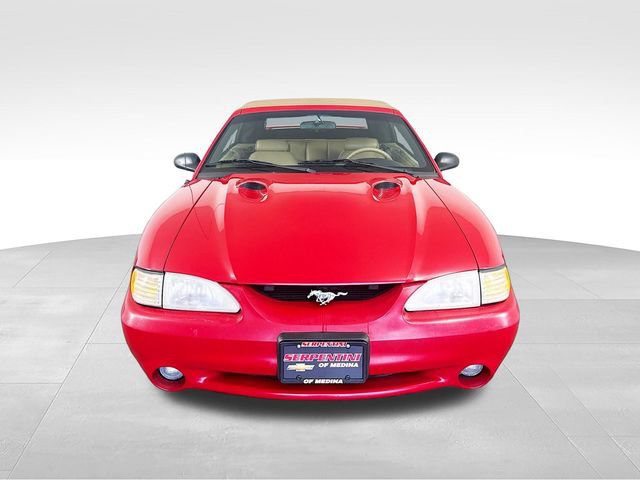 Used 1997 Ford Mustang Cobra RWD image 3