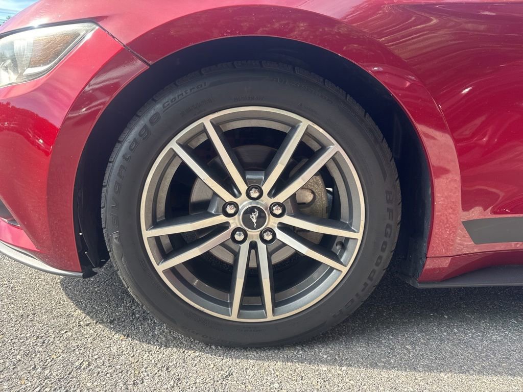 Used 2015 Ford Mustang Premium w/ Equipment Group 201A RWD image 19