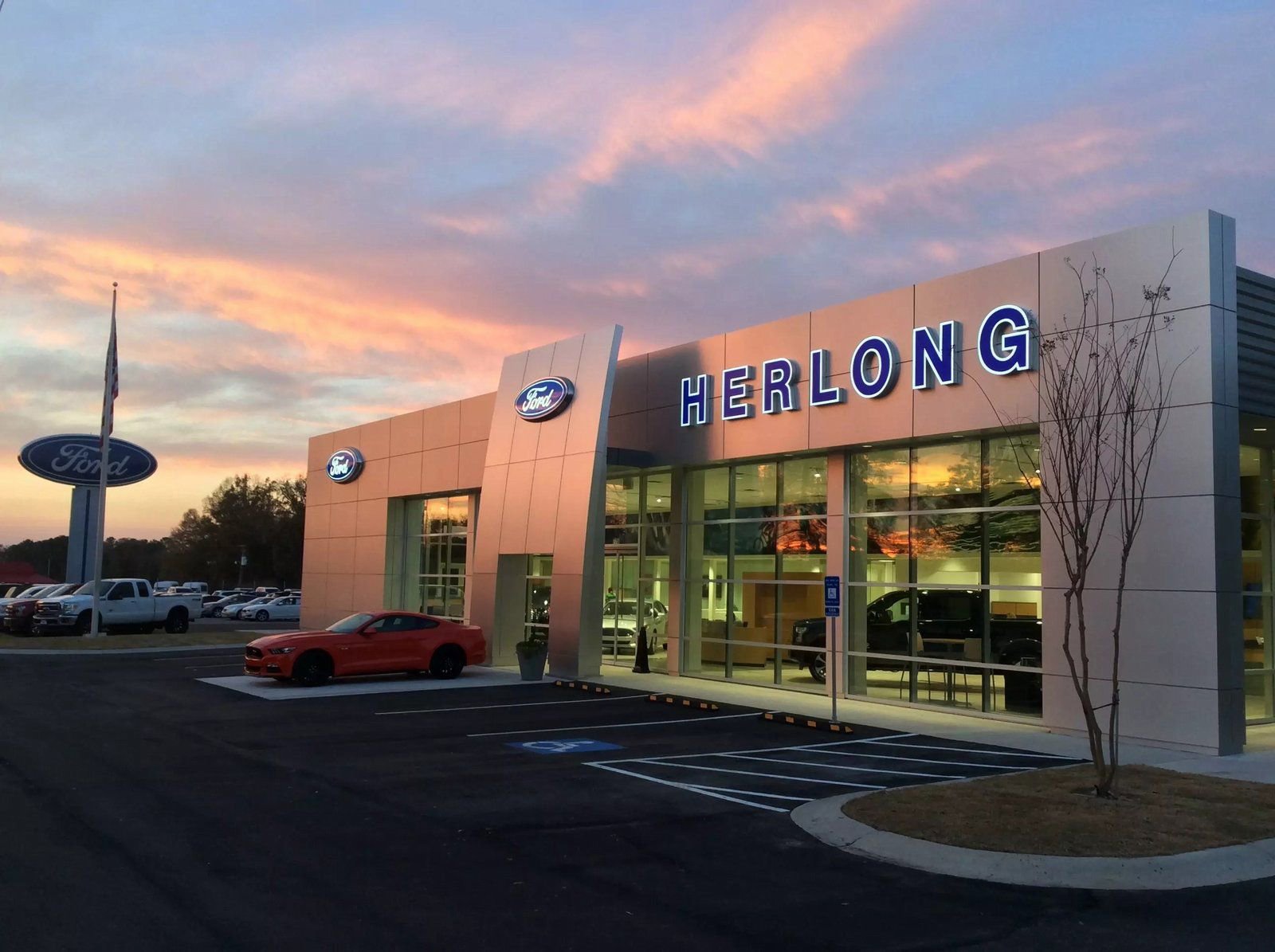 Used 2025 Ford Expedition Platinum image 1