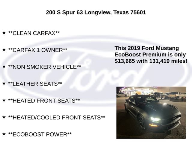 Used 2019 Ford Mustang Premium image 5