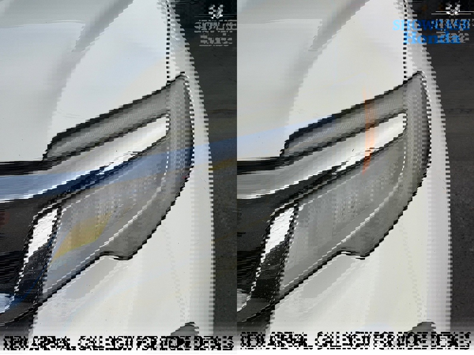 Used 2019 Honda Pilot Elite image 13