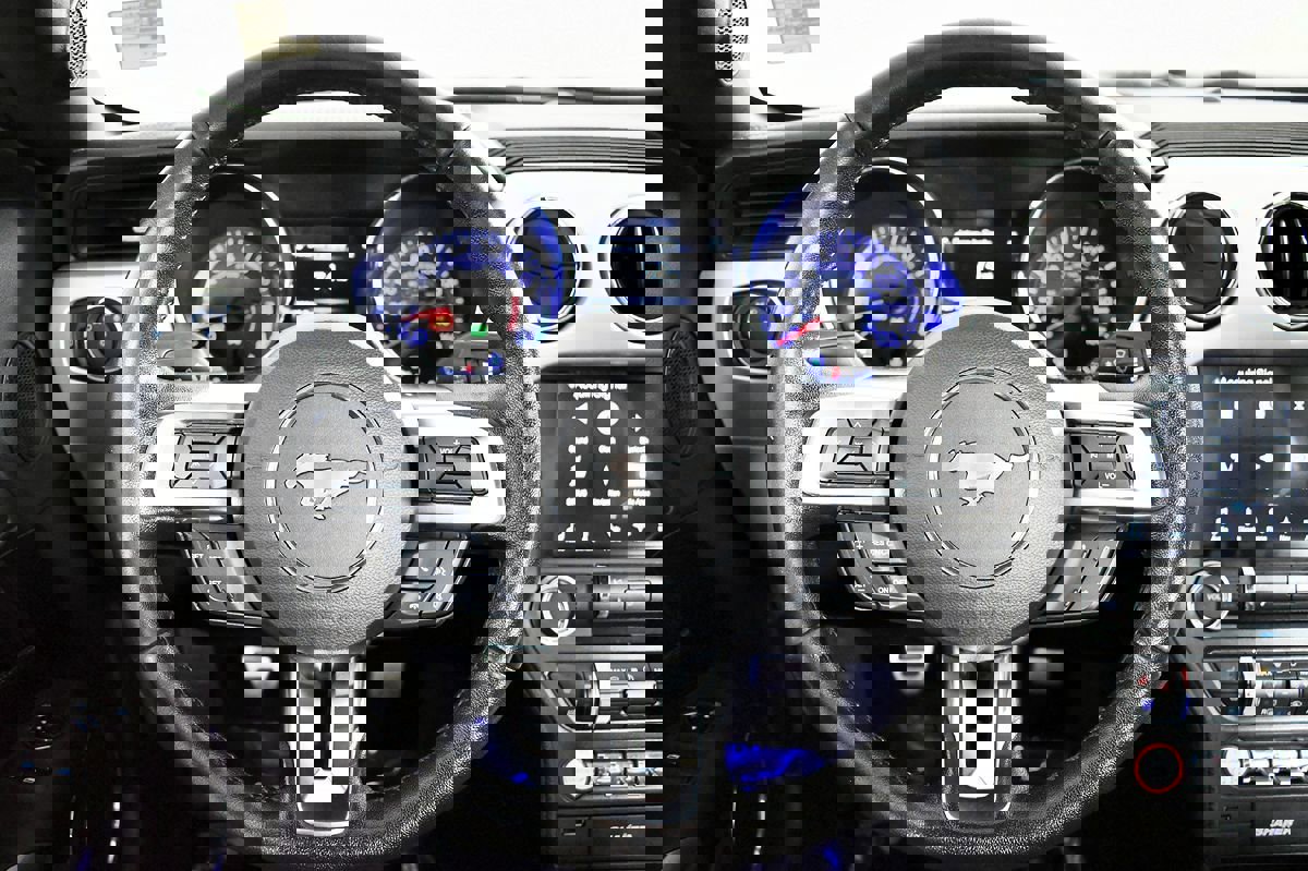 Used 2017 Ford Mustang GT Premium w/ Equipment Group 401A image 41