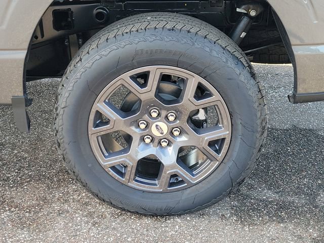 New 2026 Ford F150 STX w/ Equipment Group 200A image 6