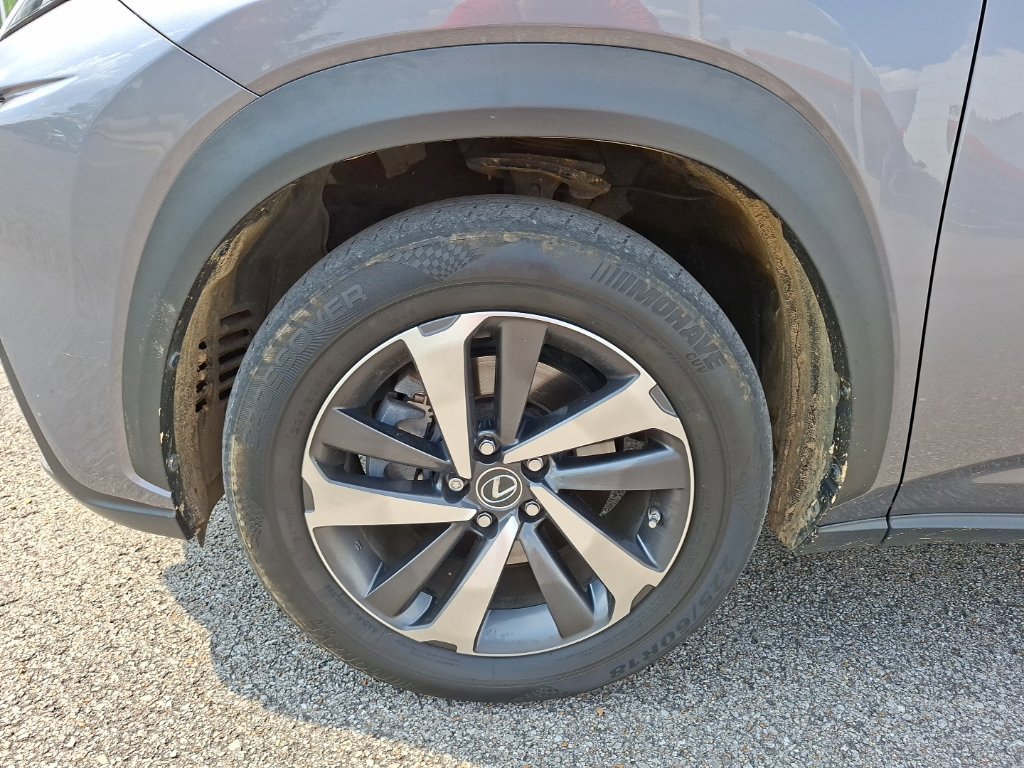 Used 2019 Lexus NX 300h AWD w/ Premium Package image 10