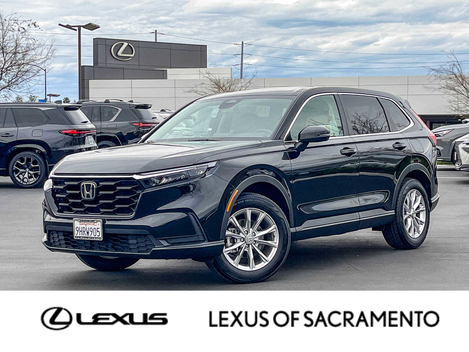 Used 2024 Honda CR-V EX image 1