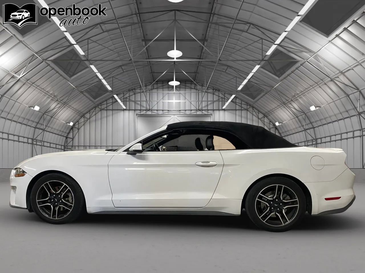 Used 2019 Ford Mustang Premium image 9