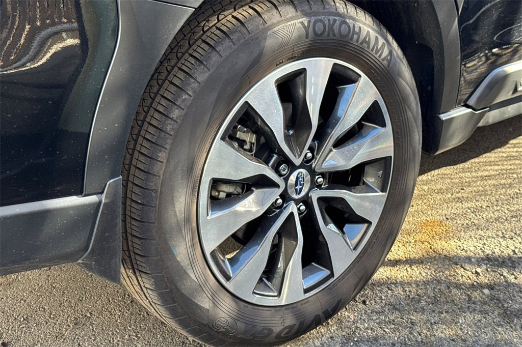 Certified 2025 Subaru Outback Limited image 8