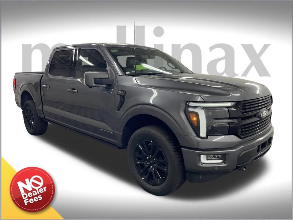 New 2025 Ford F150 Platinum