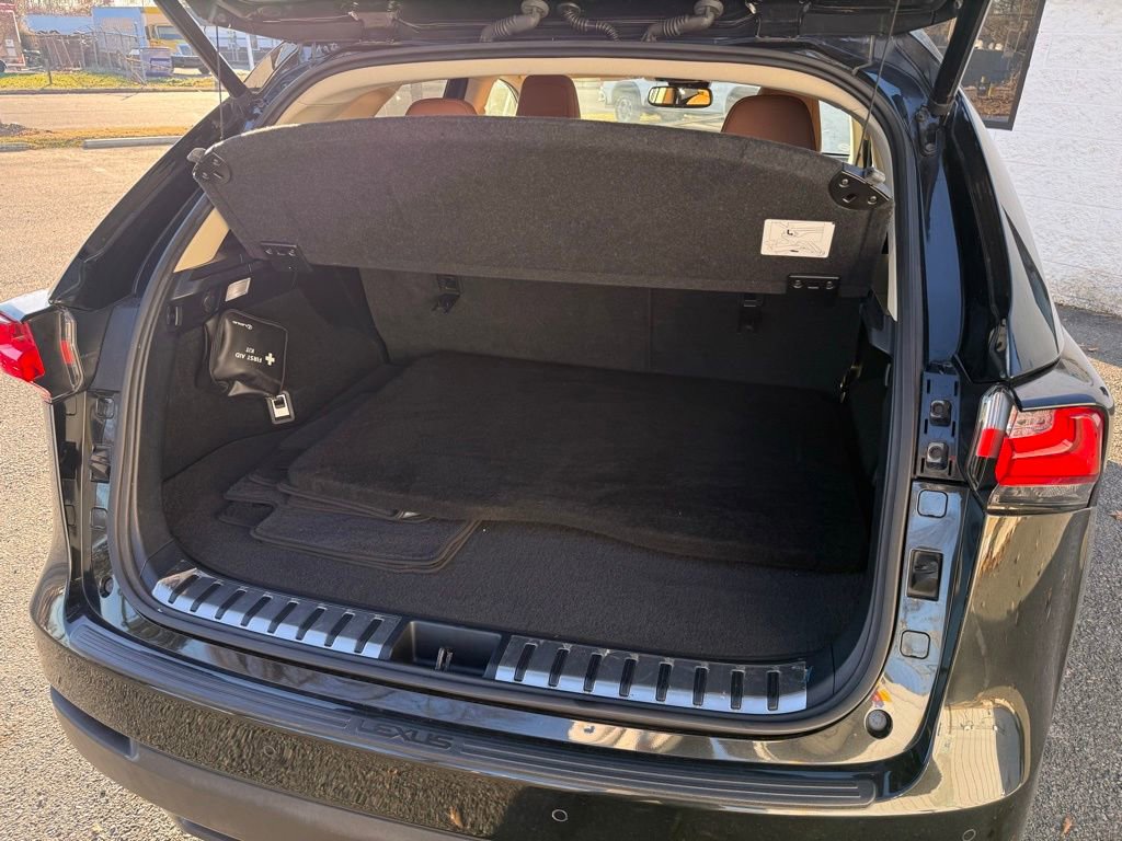 Used 2019 Lexus NX 300 F Sport image 6