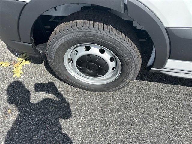 New 2025 Ford Transit 250 Low Roof w/ Load Area Protection Package image 15