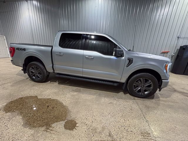 Used 2023 Ford F150 XLT w/ Equipment Group 302A High image 7